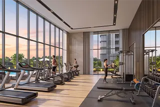 Gymnasium
